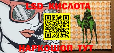 ПСИЛОЦИБИНОВЫЕ ГРИБЫ Берёзовский