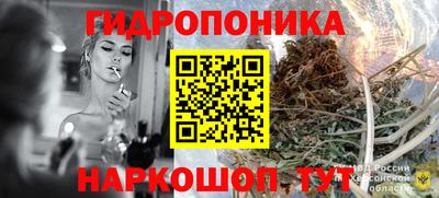 ПСИЛОЦИБИНОВЫЕ ГРИБЫ Берёзовский