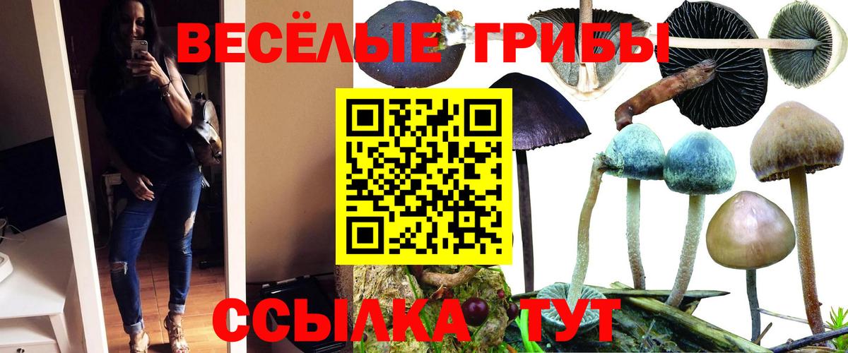 Псилоцибиновые грибы мухоморы  Вход с VPN  Зерноград  Псилоцибиновые грибы ЛСД 